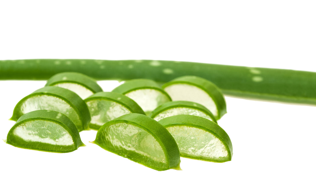 Aloe Vera: The Ultimate Skincare Superhero